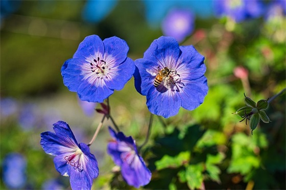 带夜宵的网名女生名字