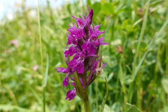 带丝袜二字的网名女生