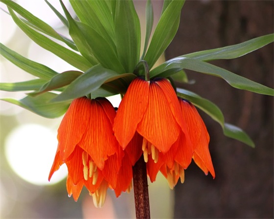 带少的网名大全女生