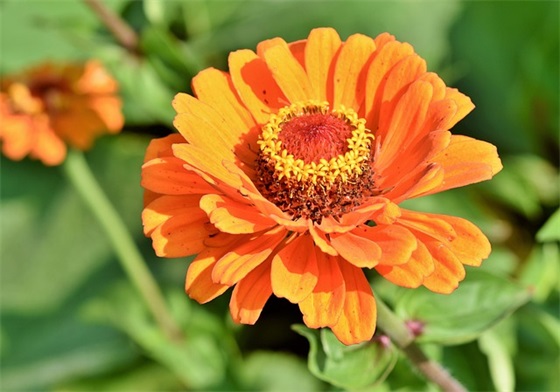 带仙字好听的网名女生