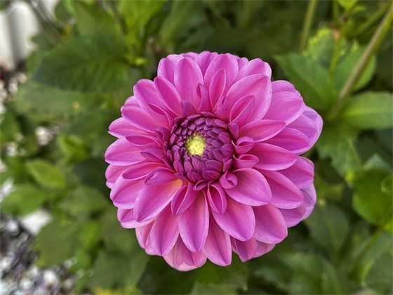 带古楼的网名女生