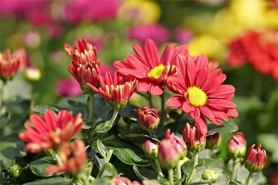 三万日元等于多少人民币多少 三万日元等于多少人民币多少