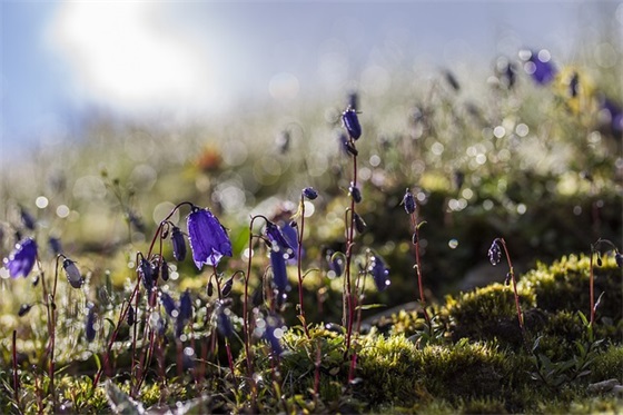 一杯咖啡的朋友圈文案 一杯咖啡的朋友圈文案