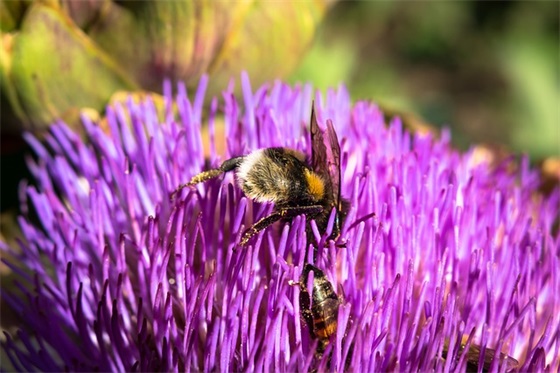 朋友圈仙女文案