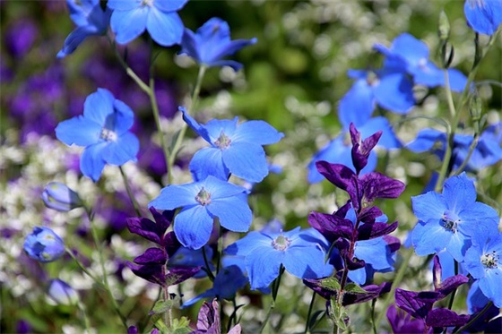 适合秀恩爱的文案朋友圈 适合秀恩爱的文案朋友圈