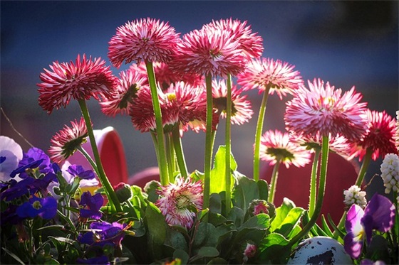 带永恒的爱网名 带永恒的爱网名