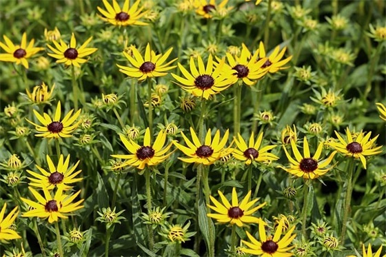 带美字头的网名 带美字头的网名