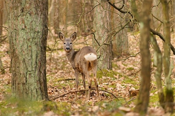 公司企业核心口号-87句