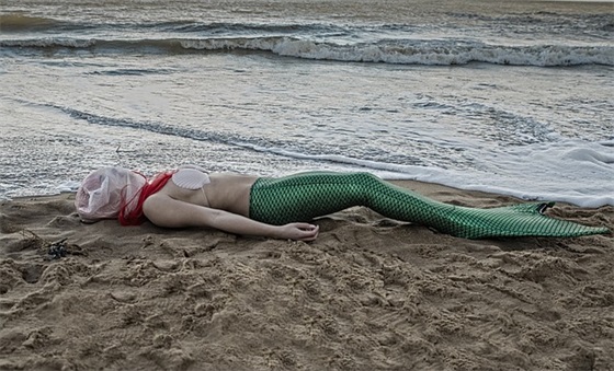 卖马肉的朋友圈文案