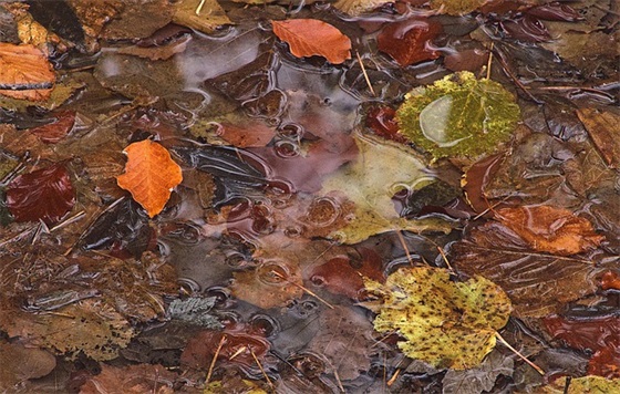 有关朋友圈文案