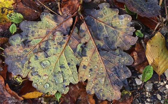 带书馨的网名女生