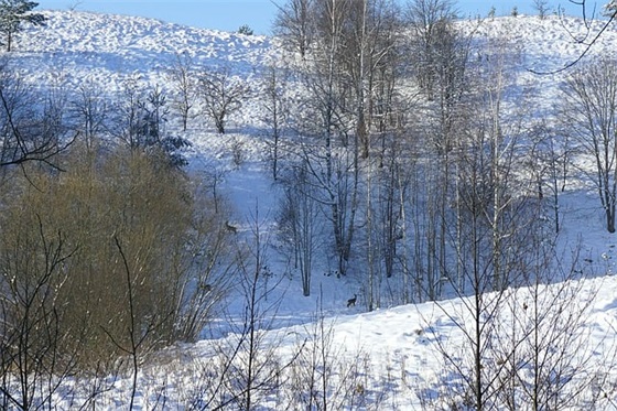 名字带雪的谐音网名女生 名字带雪的谐音网名女生