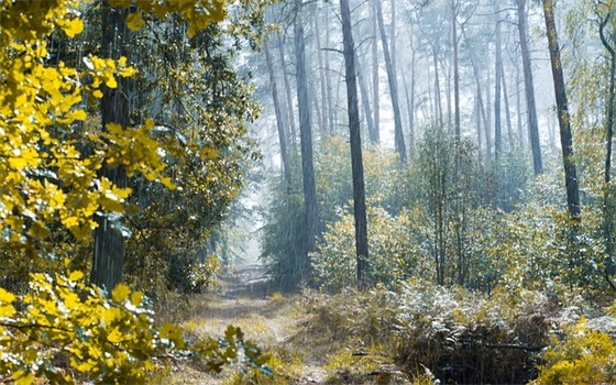 带元的英文网名女生