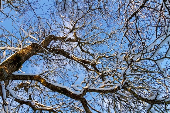 安慰老婆的句子精选136句