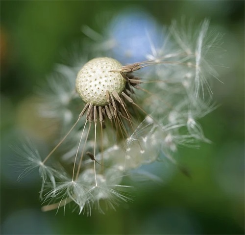 古韵遗风唯美的古风句子精选252句