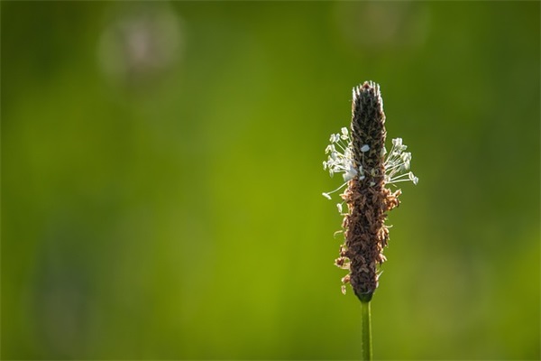 带余的网名帅气女生名字