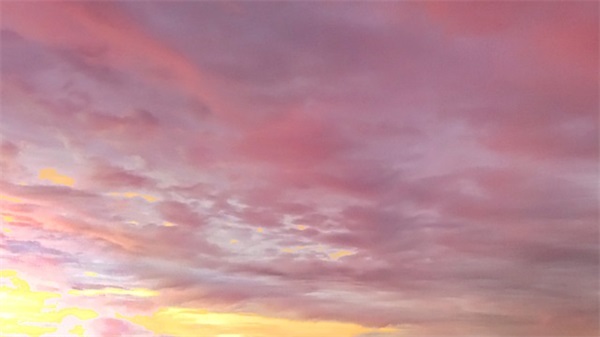 女生网名带文字的诗意 女生网名带文字的诗意