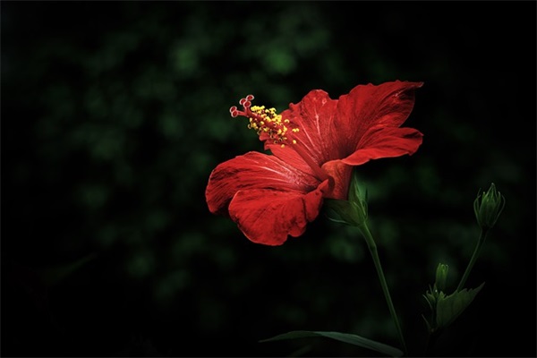 我还在等你的说说 我还在等你的说说