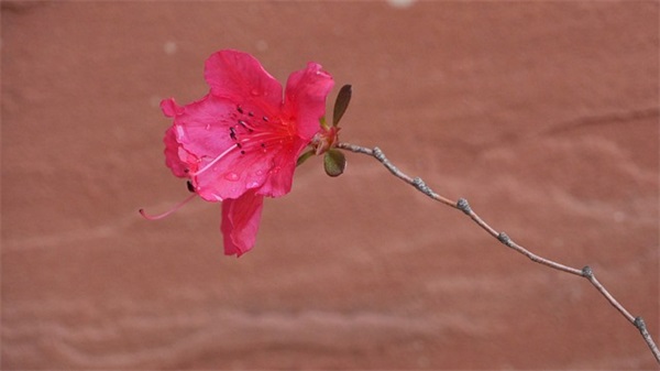 亲情淡薄的让人心寒的说说汇总四十句