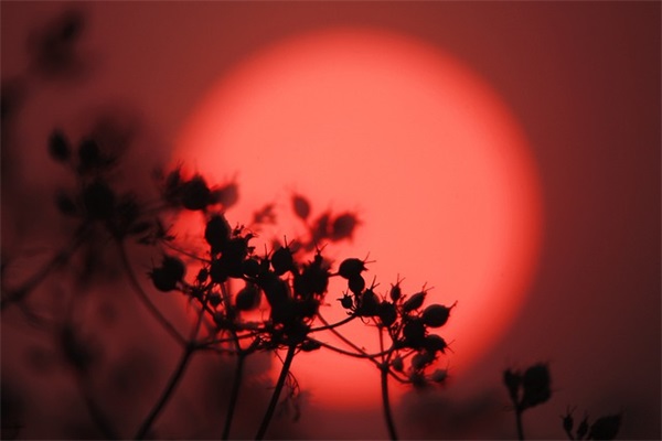 各自安好经典说说40句