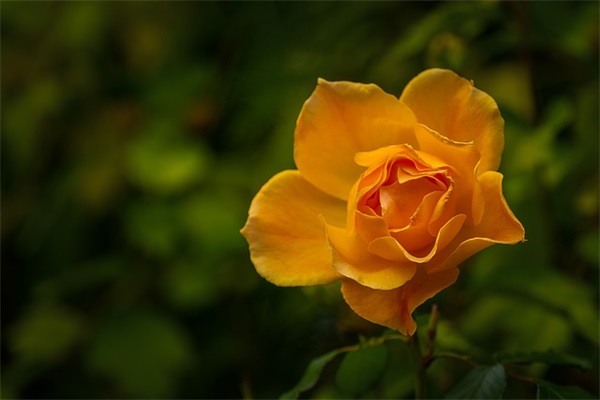 低调晒娃出生时发的经典说说通用(40条)