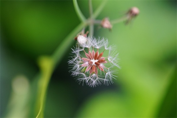 对男朋友说的短句情话143句
