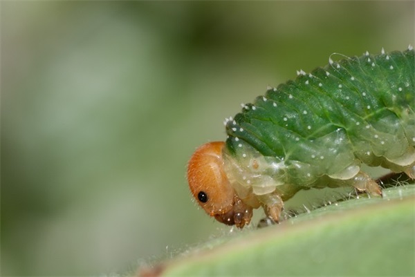 公司降成本的口号-56句