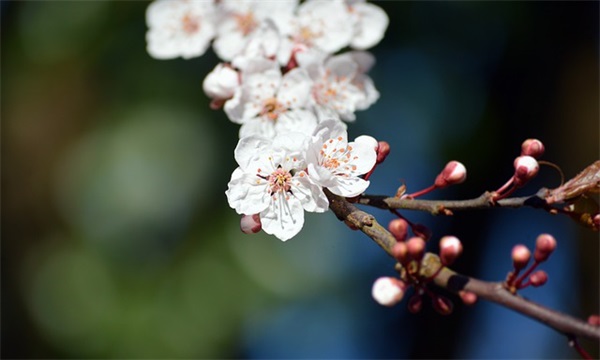 儿童足球队口号-58句