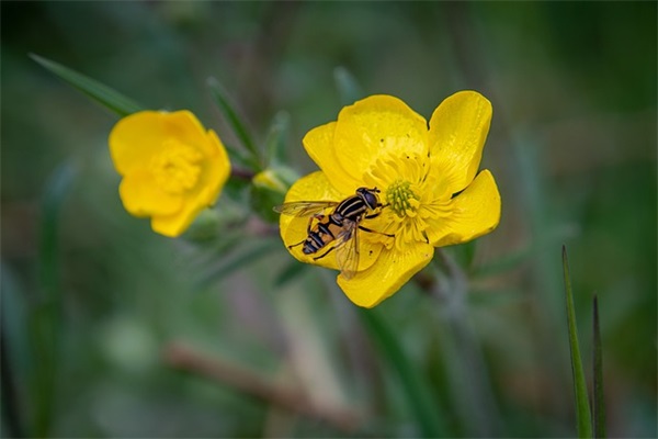 五公里跑步口号-53句 五公里跑步口号-53句