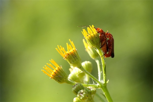 16字励志口号-54句