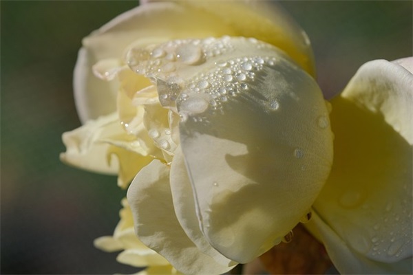 励志八字口号押韵-67句