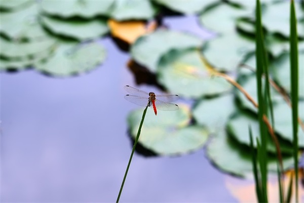 关于七班的口号-58句 关于七班的口号-58句