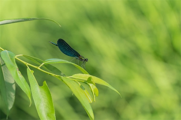 公司励志口号8字-78句 公司励志口号8字-78句