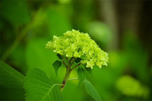 儿童足球队口号-52句