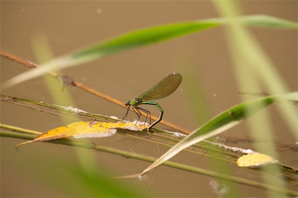 女兵口号8字-60句 女兵口号8字-60句