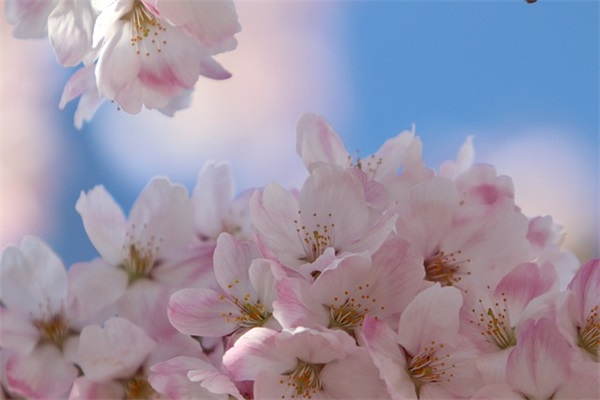 五班的霸气口号-53句