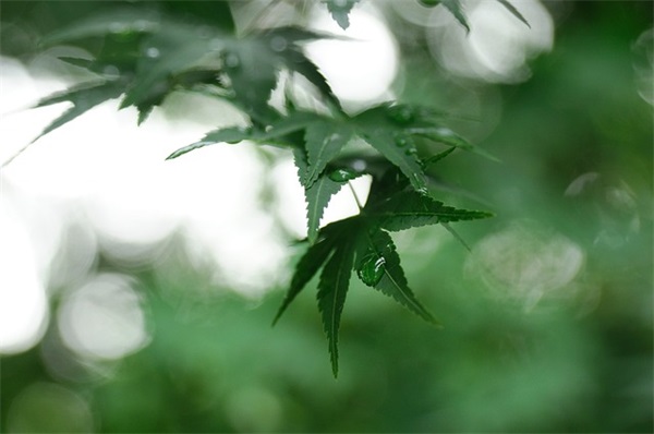 5个字的励志口号-50句