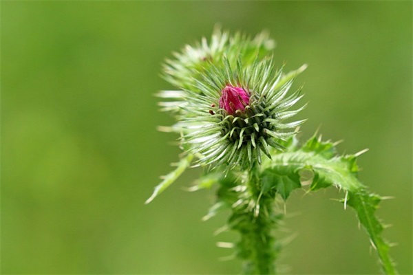 十一班班级口号-51句