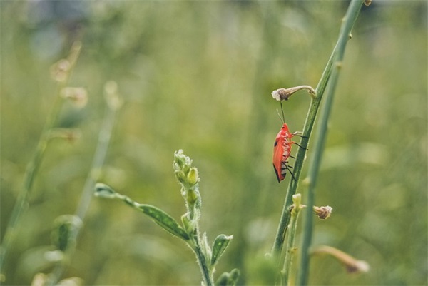 业绩冲刺口号八字-60句