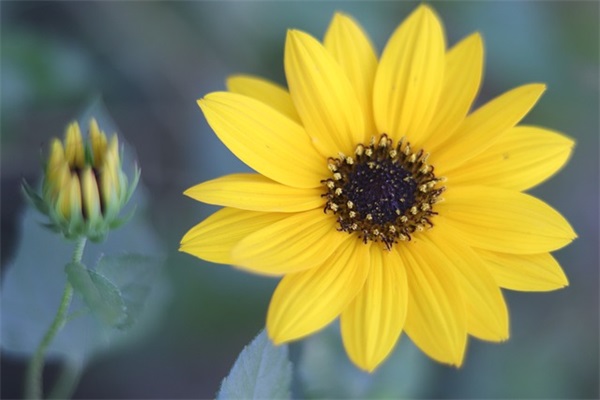 公司口号带七字-50句