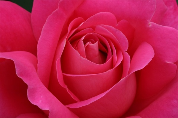 早操口号八字-58句