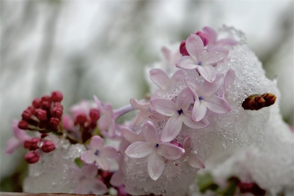 材料作文范文600字(精选二十篇)