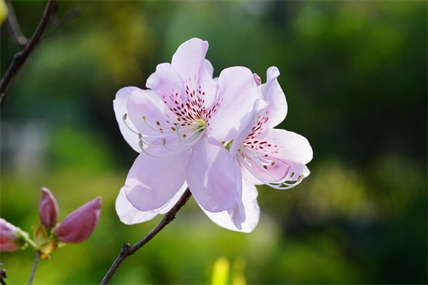 机械安装的论文范文精选19篇