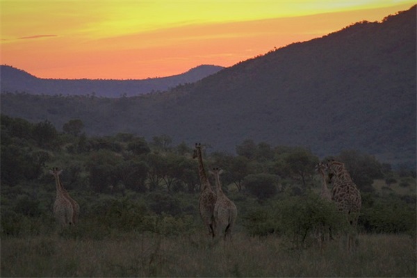 干部公示范文模板(优选24篇) 干部公示范文模板(优选24篇)
