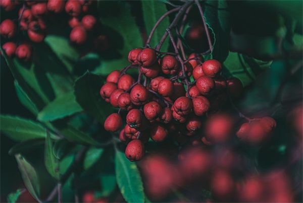 入党政审范文模板(必备18篇)