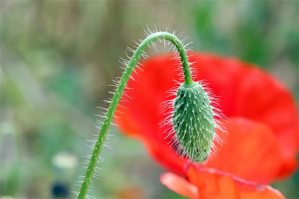 干部约谈谈话记录范文(推荐12篇) 干部约谈谈话记录范文(推荐12篇)