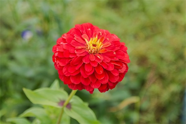 写一份个人简历范文(通用25篇)