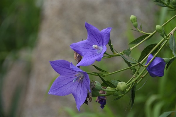 保险拒赔联系函范文格式16篇