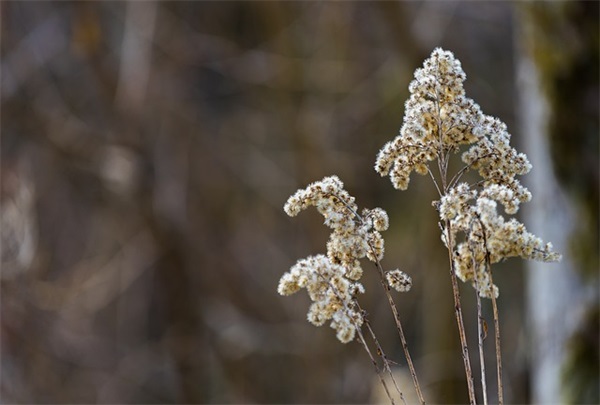 2020高考作文范文(共18篇)