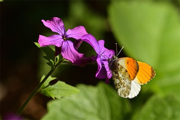 政协提案范文10篇(精选八篇)